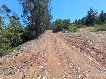 Parcelas en venta en Algarrobo, cerca de lago peñuelas