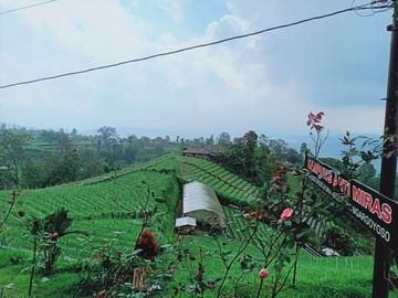 Dijual Tanah View Bukit Kemuning Ngargoyoso Karanganyar
