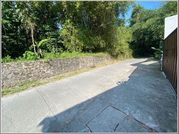 Siap Huni Rumah Etnik Jawa Pintu Gebyok Luas 375 m2 Di Prambanan