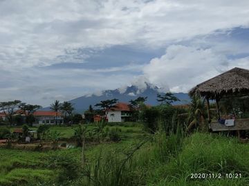Rumah Syariah dalam kawasan Wisata Bogor