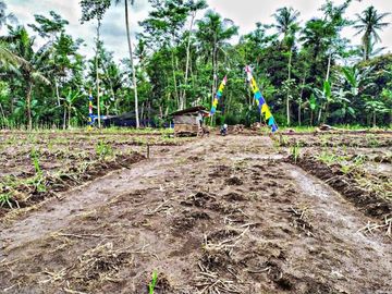 Jual Tanah Kavling Lokasi di Desa Palaan - Ngajum