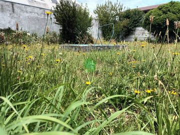 Local Comercial en Venta en Bilbao