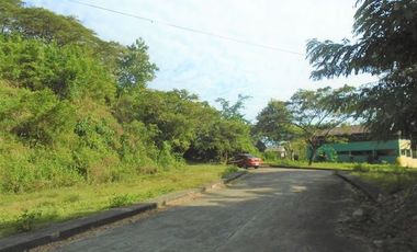 198 Sqm Subdivision LOT for Sale in Greenwoods Subdivision near Talamban Cebu City