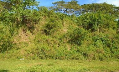 198 Sqm Subdivision LOT for Sale in Greenwoods Subdivision near Talamban Cebu City