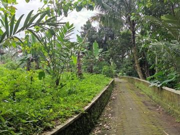 Tanah Sleman Utara MURMER Dekat Balai Desa Bangunkerto