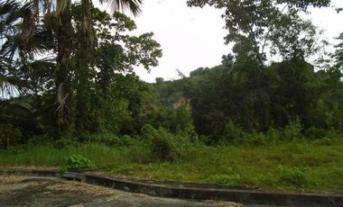 189 SQM Subdivision Lot for Sale in Greenwoods near Talamban Cebu City