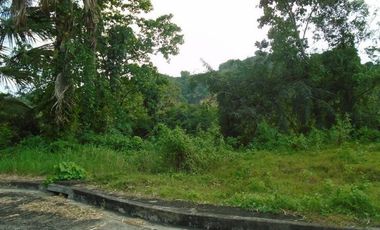 189 SQM Subdivision Lot for Sale in Greenwoods near Talamban Cebu City