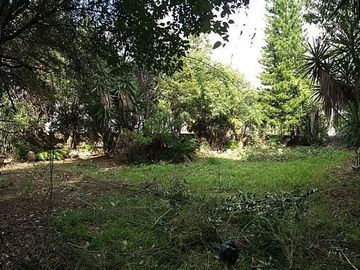 SE VENDE PROPIEDAD EN RESIDENCIAL BOSQUES, CALLE MOZART