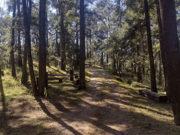 SE VENDE FINCA CAMPESTRE EN REAL DEL MONTE HIDALGO