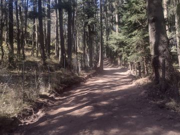 SE VENDE FINCA CAMPESTRE EN REAL DEL MONTE HIDALGO