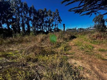 Sitio en arriendo en Valdivia