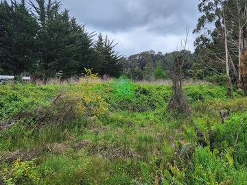 Sitio en arriendo en Valdivia