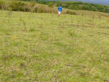 [C3E741] Land for sale 25000m2 Borong East Nusa Tenggara