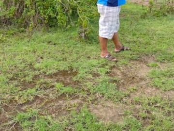 [C3E741] Land for sale 25000m2 Borong East Nusa Tenggara
