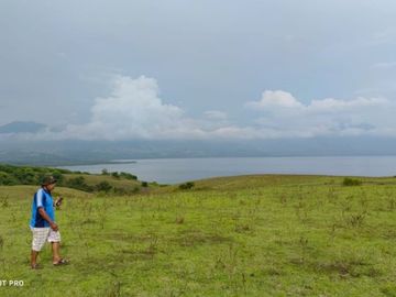 [C3E741] Land for sale 25000m2 Borong East Nusa Tenggara