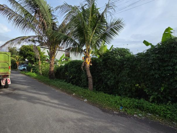 TANAH HOOK STRATEGIS DI PURA DEMAK