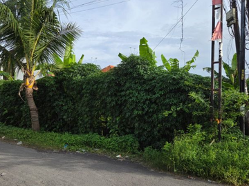 TANAH HOOK STRATEGIS DI PURA DEMAK