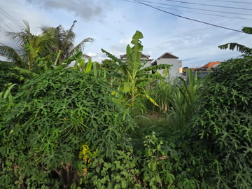 TANAH HOOK STRATEGIS DI PURA DEMAK