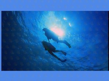 Buscas Invertir? Rentar ó Comprar  en ZONA Hotelera ó RESIDENCIAL en CANCUN?