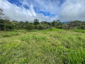 VENDO FINCA DE 13 HECTAREAS COORDILLERA