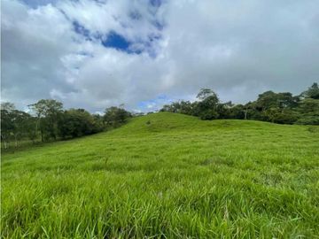 VENDO FINCA DE 13 HECTAREAS COORDILLERA