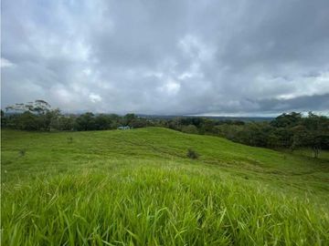 VENDO FINCA DE 13 HECTAREAS COORDILLERA