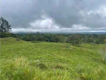 VENDO FINCA DE 13 HECTAREAS COORDILLERA