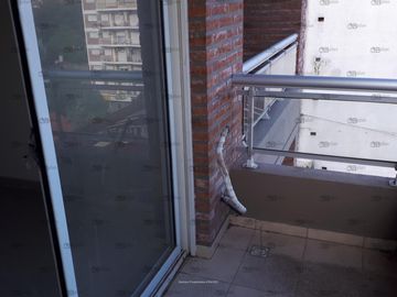 BARBARO VENDE DEPARTAMENTO EN EL CENTRO DE SAN MARTIN A ESTRENAR DE EXCELENTE CATEGORÍA