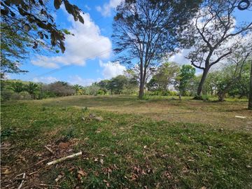 Se vende finca de 3.3 hectáreas en Llanito Verde, La Chorrera