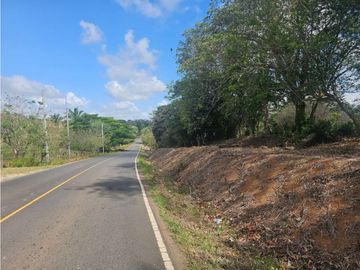 Se vende finca de 3.3 hectáreas en Llanito Verde, La Chorrera
