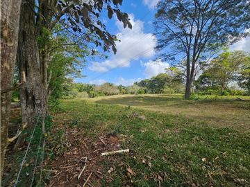 Se vende finca de 3.3 hectáreas en Llanito Verde, La Chorrera