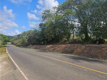 Se vende finca de 3.3 hectáreas en Llanito Verde, La Chorrera