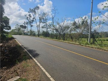Se vende finca de 3.3 hectáreas en Llanito Verde, La Chorrera