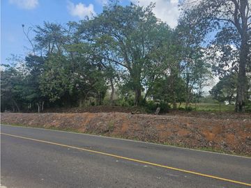 Se vende finca de 3.3 hectáreas en Llanito Verde, La Chorrera