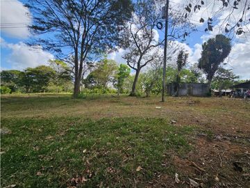 Se vende finca de 3.3 hectáreas en Llanito Verde, La Chorrera