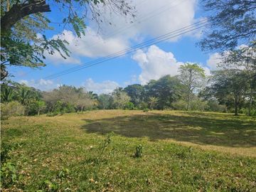 Se vende finca de 3.3 hectáreas en Llanito Verde, La Chorrera
