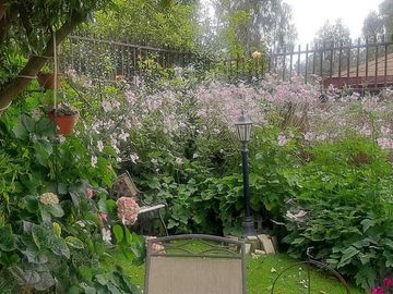 Venta Casa en Viña del Mar Alto