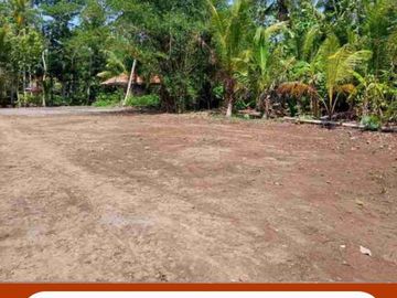 1 Jt-an, Dekat Lotte Grosir Tegal: Legalitas SHM