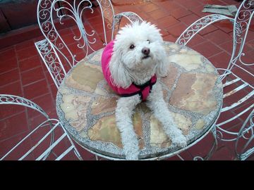 PH en Venta Ramos Mejia / La Matanza (A025 2886)