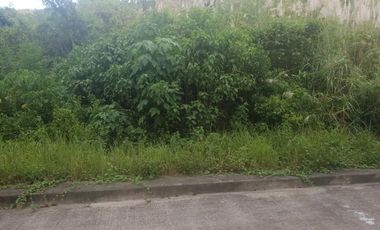 113 SQM Lot for Sale in Upper Casili Consolacion Cebu with Scenic Greeneries View