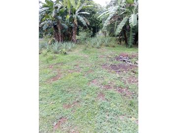 VENDO TERRENO DE 1117m2, EN EL ESPINO