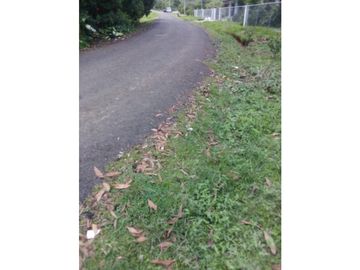 VENDO TERRENO DE 1117m2, EN EL ESPINO