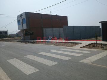 Remate Por Salud!!!  Terreno En Venta, Av. Los Ficus V Etapa - Carabayllo