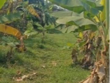 Dijual Cepat Tanah Di Sebelah Grand Kota Wisata Jl Raya Mustika