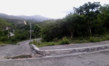 Overlooking 266 SQM Lot for Sale in Vista Verde Consolacion Cebu with Mountain View