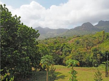 Venta: Casa de 3 recámaras en Trinity Hills Valley