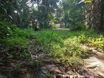 TANAH SHM 1500m2 HANYA 5.5JUTA/m2 LOKASI STRATEGIS DEPAN JALAN UTAMA CITAYAM CIPAYUNG