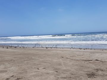 Asia Terreno Playa La Jolla Asia Cañete