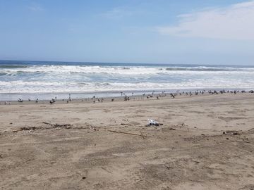 Asia Terreno Playa La Jolla Asia Cañete
