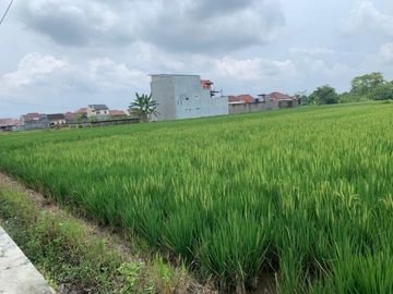 Tanah Siap Bangun Harga 2 Jutaan Per Meter Dekat Kota